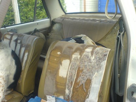 Acheter opel kadett b